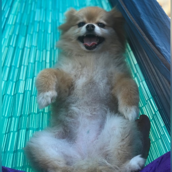 Meet your Posher! 🙋🏻♀️ - Picture 3 of 11